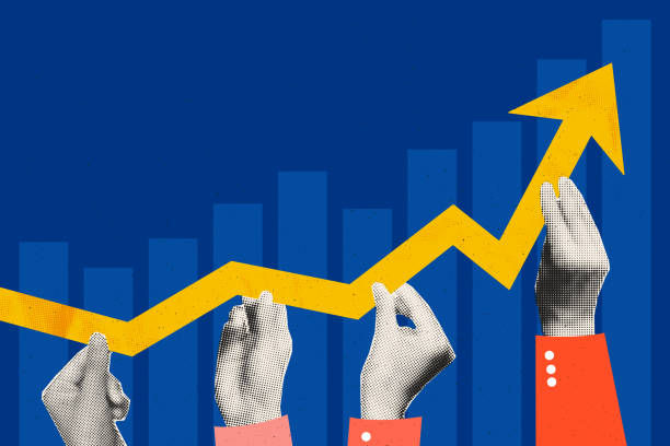 如何有效查找香港公司的组织架构信息：全方位指南
